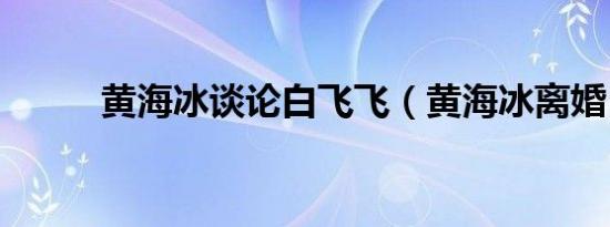 黄海冰谈论白飞飞（黄海冰离婚）