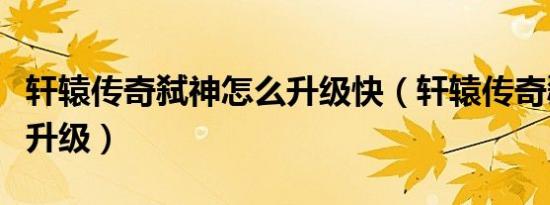 轩辕传奇弑神怎么升级快（轩辕传奇弑神怎么升级）