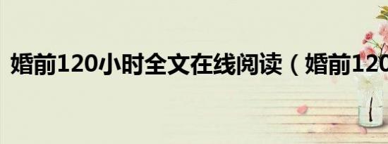 婚前120小时全文在线阅读（婚前120小时）