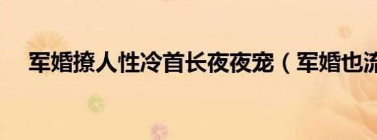 军婚撩人性冷首长夜夜宠（军婚也流氓）