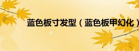 蓝色板寸发型（蓝色板甲幻化）