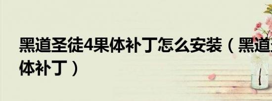 黑道圣徒4果体补丁怎么安装（黑道圣徒4果体补丁）