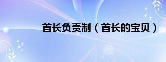 首长负责制（首长的宝贝）