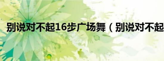 别说对不起16步广场舞（别说对不起歌词）