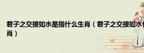 君子之交接如水是指什么生肖（君子之交接如水代表什么生肖）