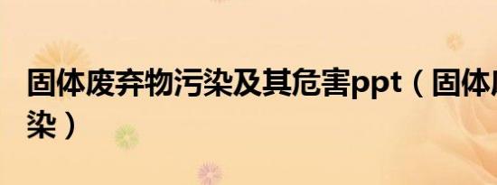 固体废弃物污染及其危害ppt（固体废弃物污染）