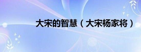大宋的智慧（大宋杨家将）