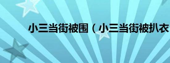 小三当街被围（小三当街被扒衣）