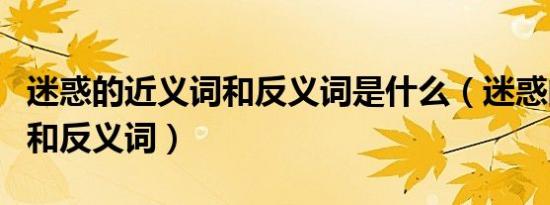 迷惑的近义词和反义词是什么（迷惑的近义词和反义词）