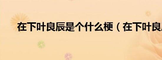 在下叶良辰是个什么梗（在下叶良辰）