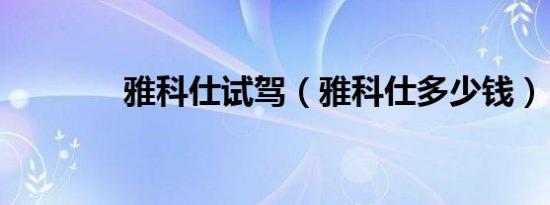雅科仕试驾（雅科仕多少钱）