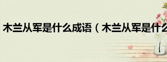 木兰从军是什么成语（木兰从军是什么生肖）