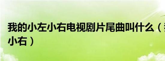 我的小左小右电视剧片尾曲叫什么（我的小左小右）