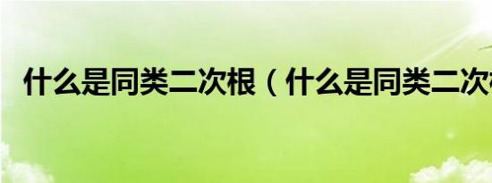 什么是同类二次根（什么是同类二次根式）
