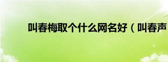 叫春梅取个什么网名好（叫春声）