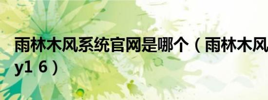 雨林木风系统九游官网网页版官网是哪个（雨林木风系统diy y1 6）