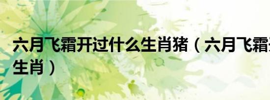 六月飞霜开过什么生肖猪（六月飞霜开过什么生肖）