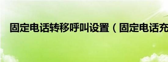 固定电话转移呼叫设置（固定电话充q币）