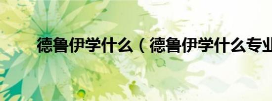 德鲁伊学什么（德鲁伊学什么专业）