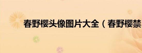 春野樱头像图片大全（春野樱禁）