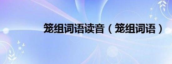 笼组词语读音（笼组词语）