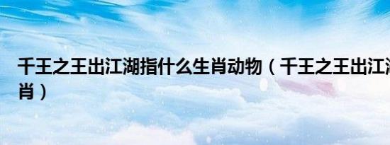 千王之王出江湖指什么生肖动物（千王之王出江湖指什么生肖）