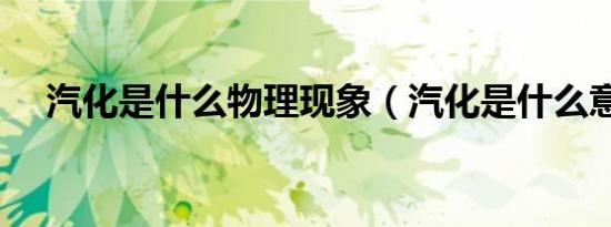 汽化是什么物理现象（汽化是什么意思）