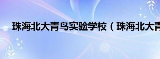 珠海北大青鸟实验学校（珠海北大青鸟）