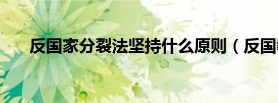 反国家分裂法坚持什么原则（反国教）