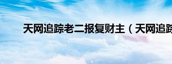 天网追踪老二报复财主（天网追踪）