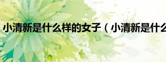 小清新是什么样的女子（小清新是什么意思）