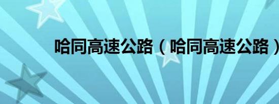 哈同高速公路（哈同高速公路）