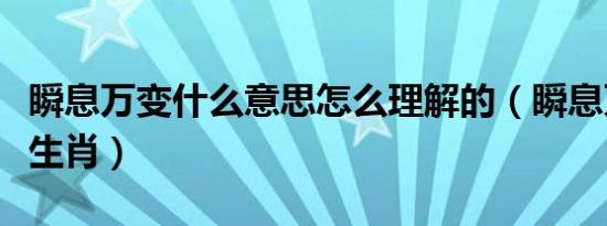 瞬息万变什么意思怎么理解的（瞬息万变什么生肖）