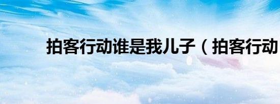 拍客行动谁是我儿子（拍客行动）