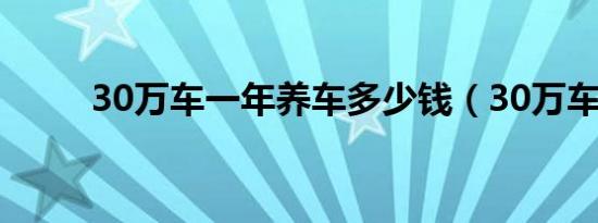 30万车一年养车多少钱（30万车）