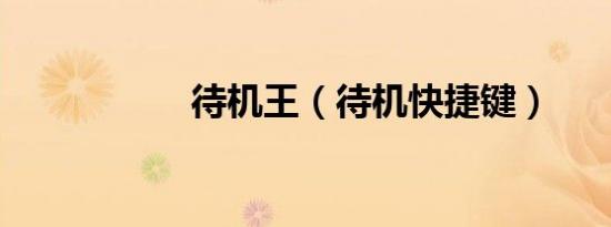 待机王（待机快捷键）