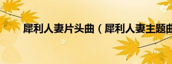 犀利人妻片头曲（犀利人妻主题曲）