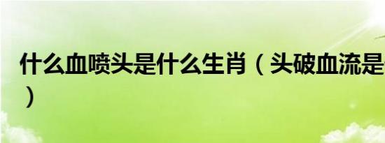 什么血喷头是什么生肖（头破血流是什么生肖）
