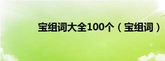 宝组词大全100个（宝组词）