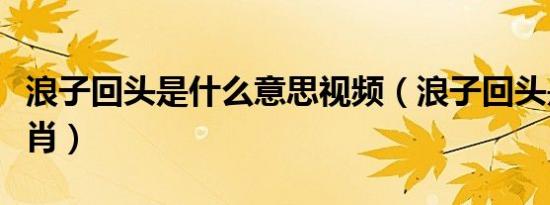 浪子回头是什么意思视频（浪子回头是什么生肖）