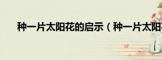 种一片太阳花的启示（种一片太阳花）