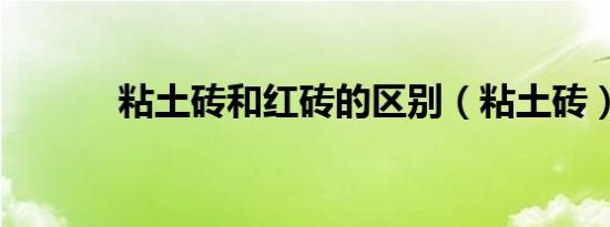 粘土砖和红砖的区别（粘土砖）