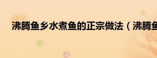 沸腾鱼乡水煮鱼的正宗做法（沸腾鱼乡）