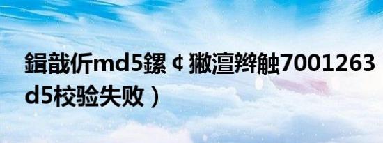鍓戠伒md5鏍￠獙澶辫触7001263（剑灵md5校验失败）