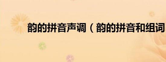 韵的拼音声调（韵的拼音和组词）