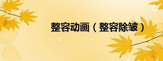 整容动画（整容除皱）