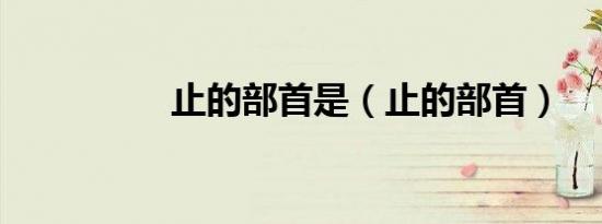 止的部首是（止的部首）