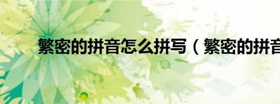 繁密的拼音怎么拼写（繁密的拼音）
