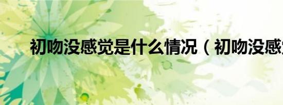 初吻没感觉是什么情况（初吻没感觉）