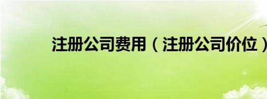 注册公司费用（注册公司价位）